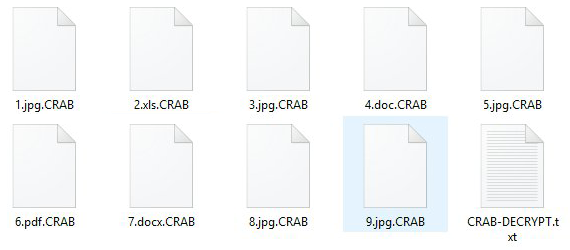 Archivos rehenes obtienen la extensión .CRAB